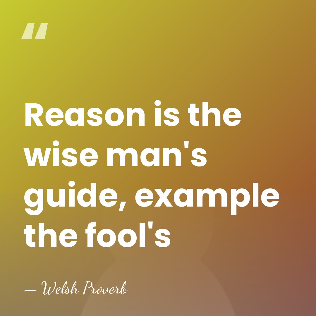 Reason is the wise man's guide, example the fool's - Welsh Proverb