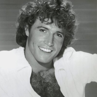 Portrait of Andy Gibb