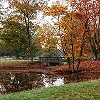 Portrait of Autumn