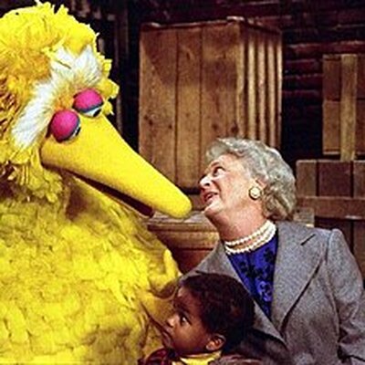 Portrait of Big Bird