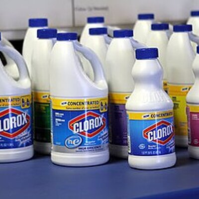 Portrait of Bleach