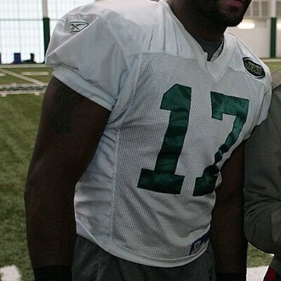Portrait of Braylon Edwards