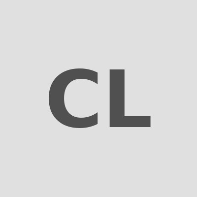 Portrait of Cher Lloyd