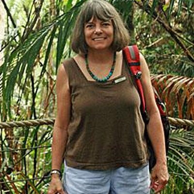 Cinda Williams Chima