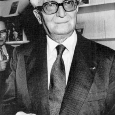 Portrait of Fernand Braudel