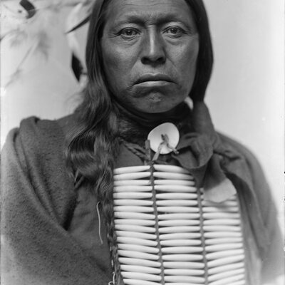 Portrait of Flying Hawk