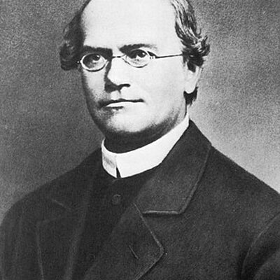 Portrait of Gregor Mendel