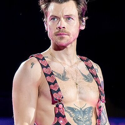 Portrait of Harry Styles