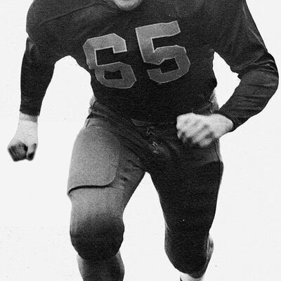 Joe Schmidt