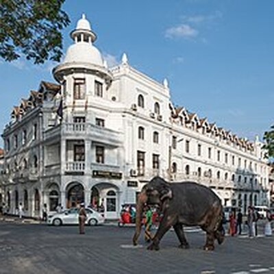 Portrait of Kandy