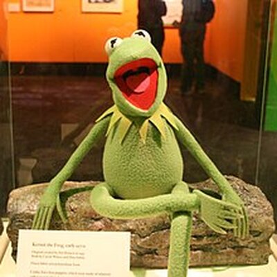 Portrait of Kermit The Frog