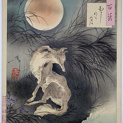 Portrait of Kitsune