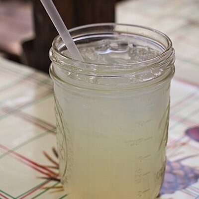 Portrait of Lemonade