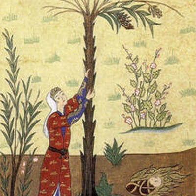 Portrait of mariam