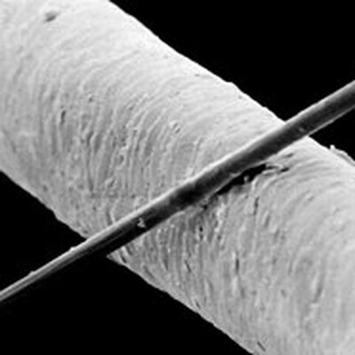 Micron
