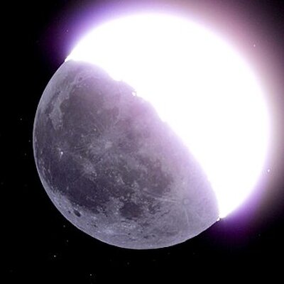Portrait of Moonlight