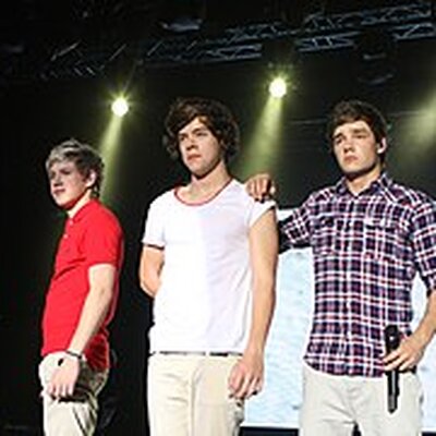 Portrait of One Direction