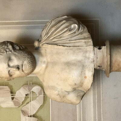 Ovid