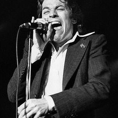 Portrait of Robert Palmer