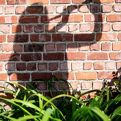Portrait of Shadow