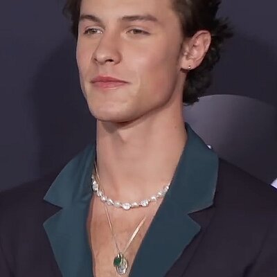 Portrait of Shawn Mendes