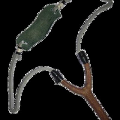 Slingshot
