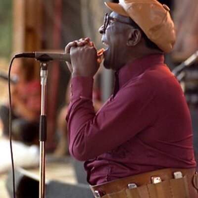 Portrait of Sonny Terry