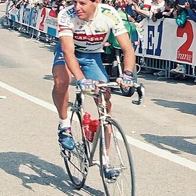 Portrait of Stephen Roche