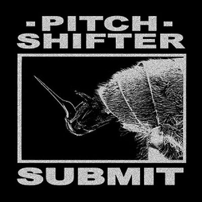 Portrait of Submit