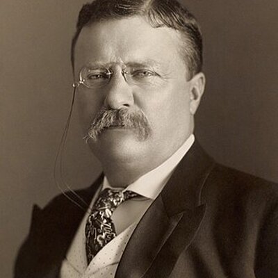 Portrait of Teddy Roosevelt