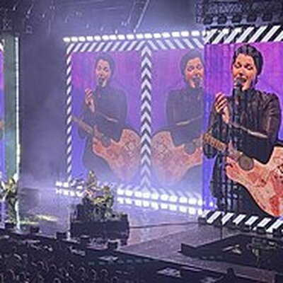 Portrait of The Script