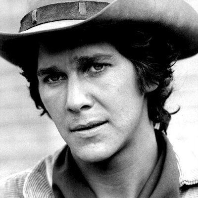 Portrait of Tim Matheson