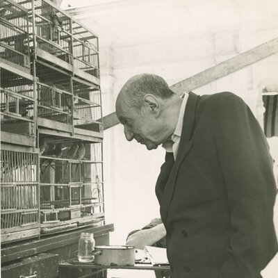 Portrait of Umberto Saba