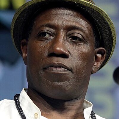 Portrait of Wesley Snipes